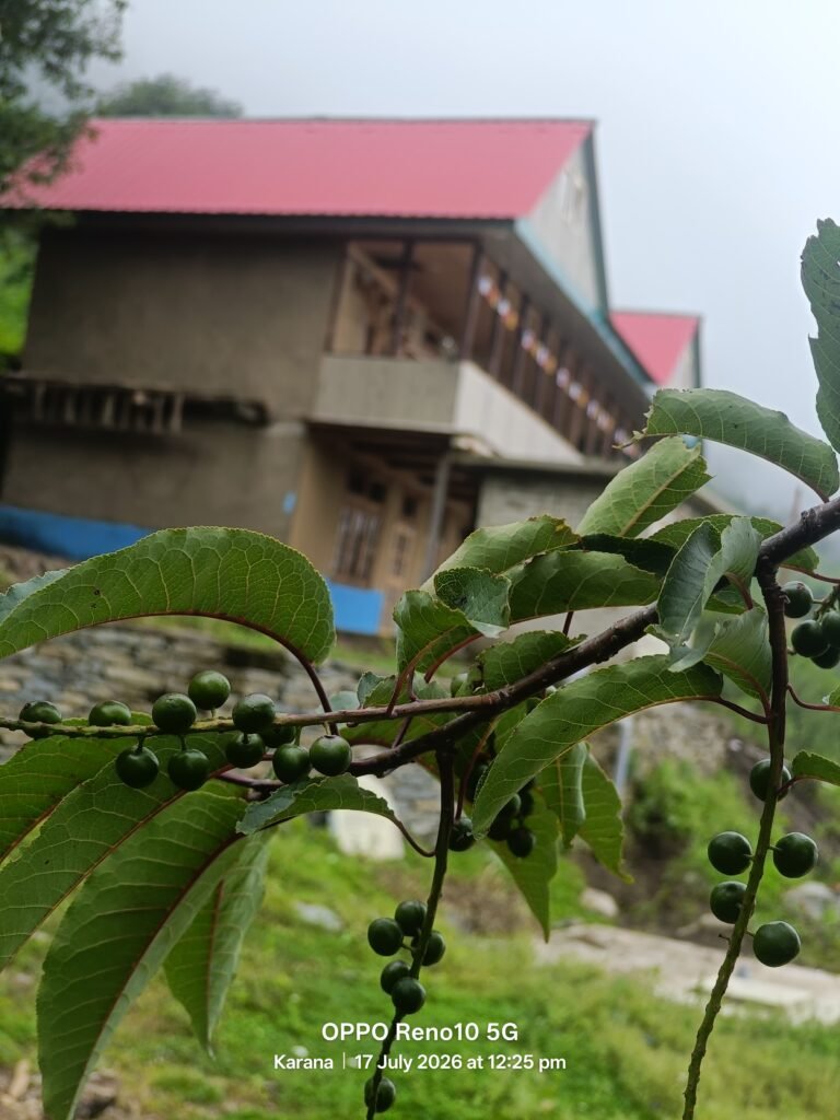 IMG20260717122537.jpg
